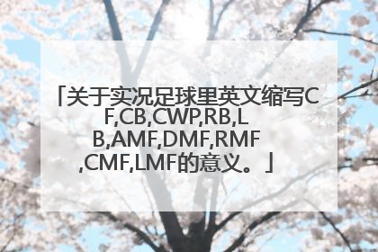 关于实况足球里英文缩写CF,CB,CWP,RB,LB,AMF,DMF,RMF,CMF,LMF的意义。