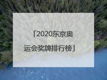 「2020东京奥运会奖牌排行榜」2020东京奥运会奖牌排行榜bgm
