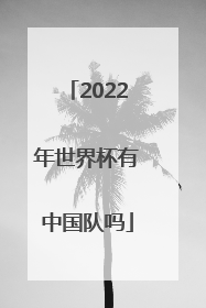 「2022年世界杯有中国队吗」2022年世界杯中国队阵容