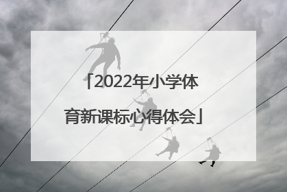 「2022年小学体育新课标心得体会」2022年新课标小学体育教案