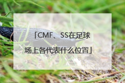 CMF、SS在足球场上各代表什么位置